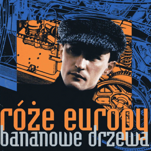 Róże Europy : Bananowe Drzewa